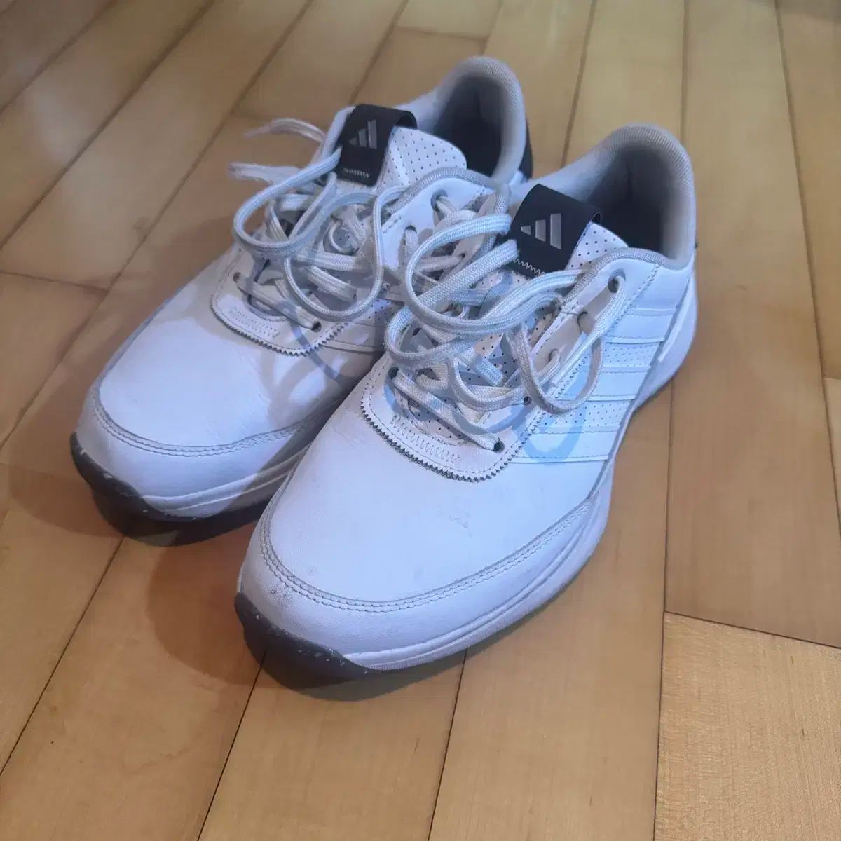 adidas アディダス ゴルフシューズ S2G 255 サイズ