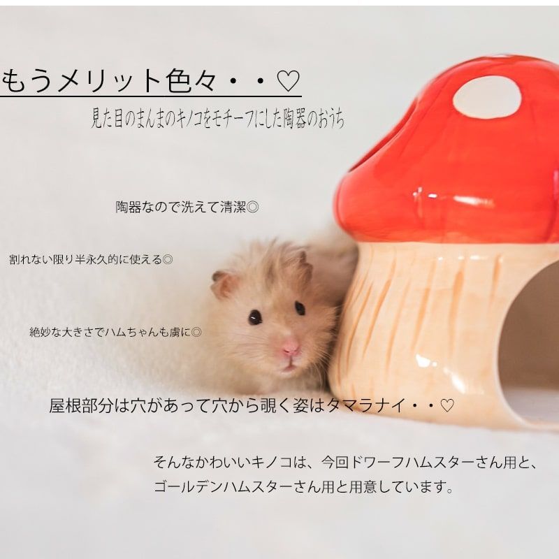 ハムスター冷えハウス - 小動物用品