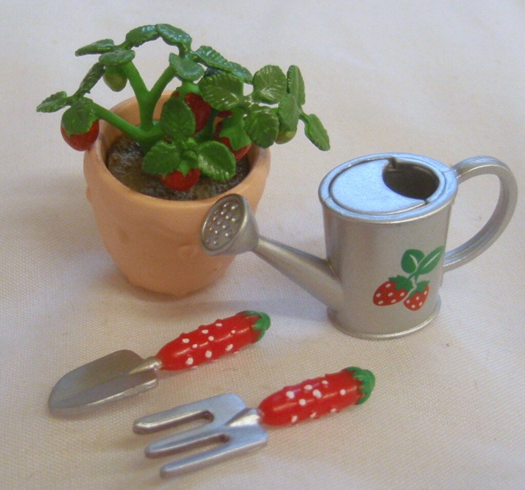 リーメント いちごちゃん家へようこそ『イチゴガーデン