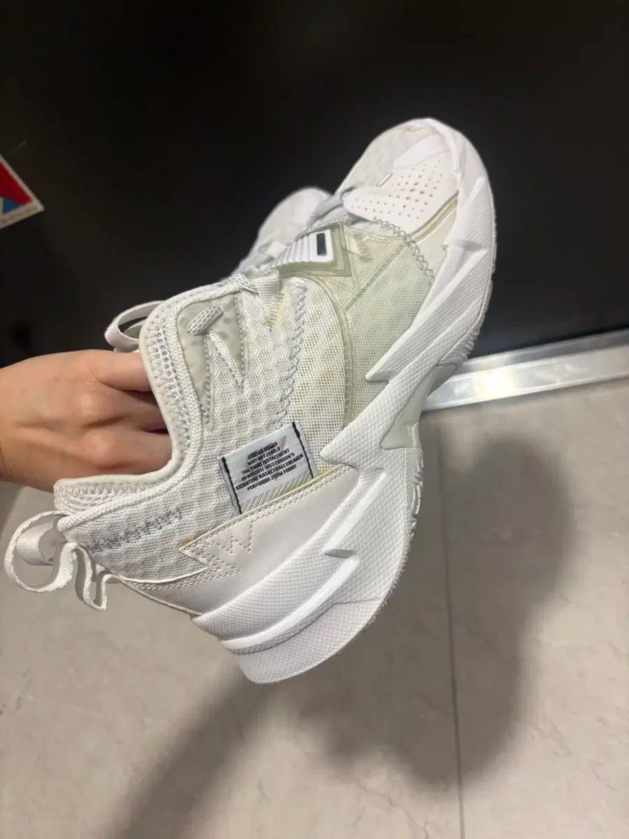 NIKE ナイキ ジョーダン ワイノット 270