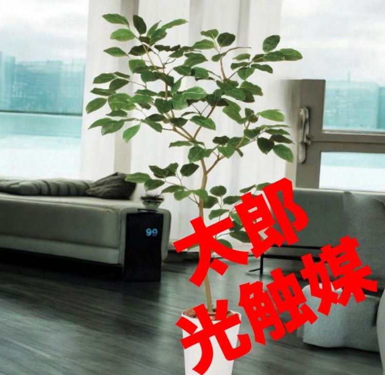 光触媒 人工観葉植物 ウォールグリーン フェイクグリーン ベンガルボダイジュFSt