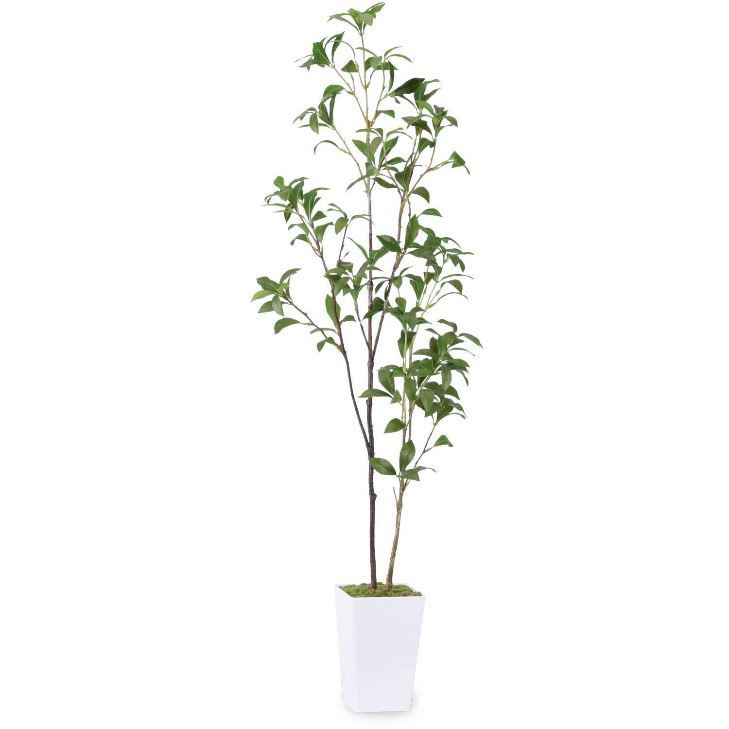 植木 鉢植え オフィス 屋内 空気清浄 光触媒 造花 観葉樹 馬酔木 高さ110cm アセビ 人工観葉植物 フェイクグリーン