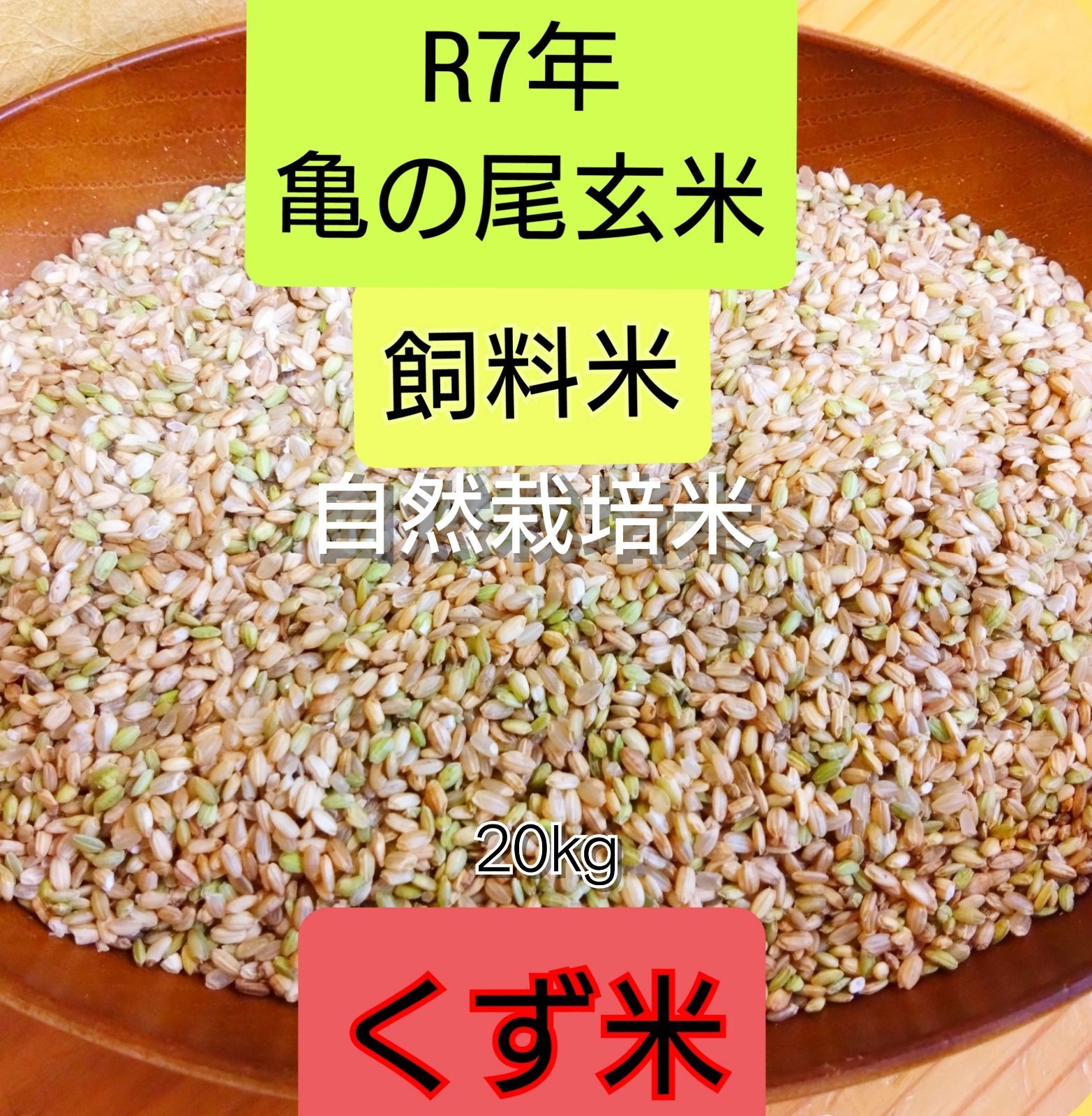 くず米 R7年 亀の尾20kg玄米 自然栽培米 飼料米