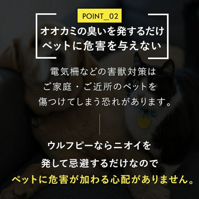 イヌ 狐