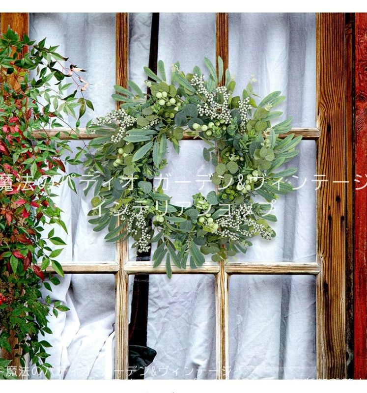 大特価！希少！ベンジャミン レジナルド 苗 苗木 観葉植物 8号鉢