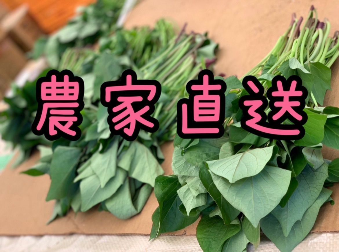 予約受付中