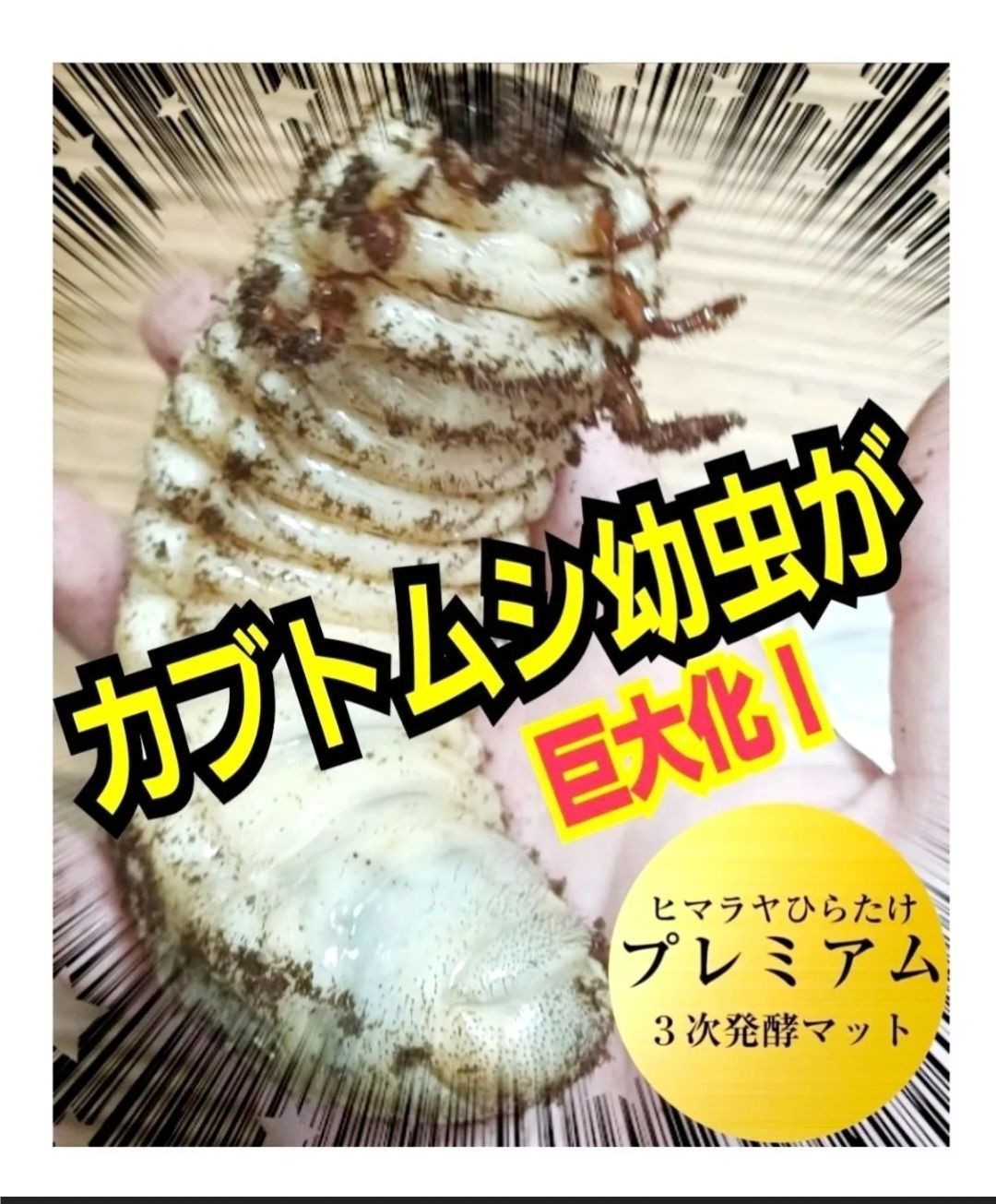 2ケースセット】20リットル特大ケース入り!プレミアム3次発酵 2ケースセット】20リットル特大ケース入り!プレミアム3次発酵