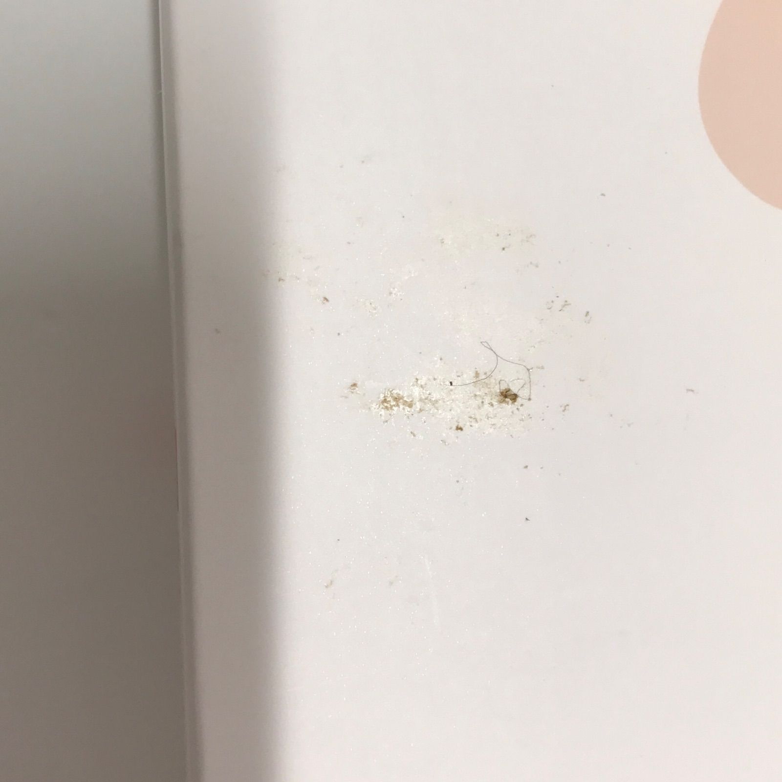 エアリーカラーリングフォーム ダークブラウン 80g b.ris エアリー