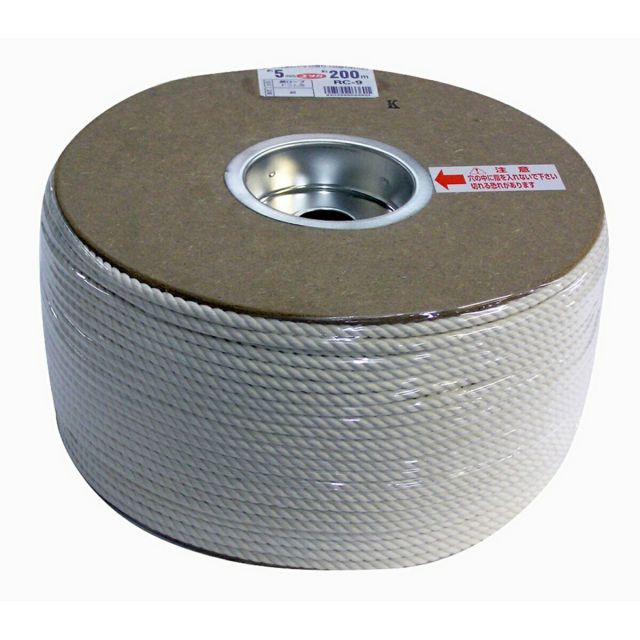 ヒエログリフ解読（24) エジプト スカラベ ヒエログリフ カラー