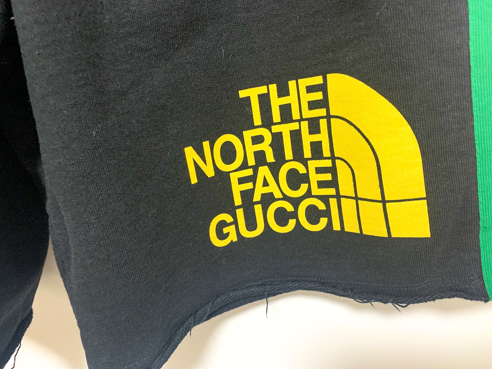 GUCCI x THE NORTH FACE グッチ x ノースフェイス コラボ ウェブ