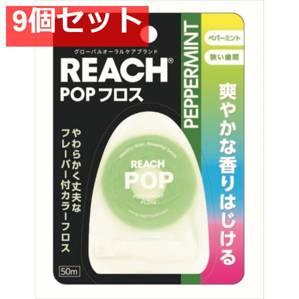 リーチ ポップフロス ペパーミント 9個セット