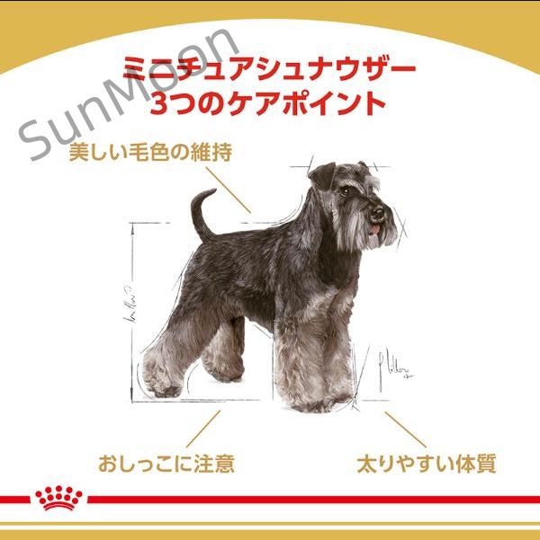 成犬～高齢犬用