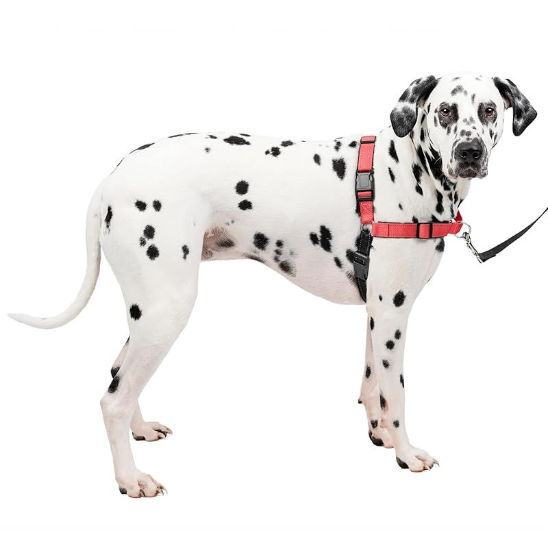 PetSafe ペットセーフ 犬用 ハーネス デラックスイージーウォークハーネス L ローズレッド|ブラック 引っ張り防止 散歩 トレーニング 0