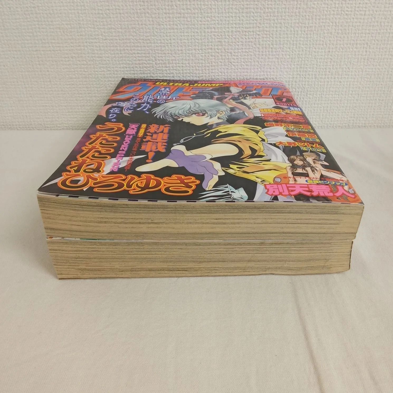 ウルトラジャンプ 2002年 vol7.8セット 天獄 天上天下 銃夢