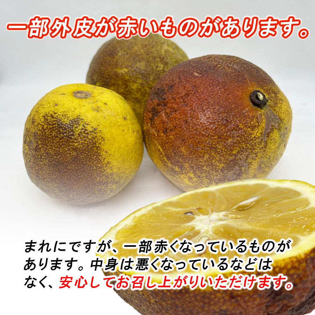 【訳あり】河内晩柑　１０ｋｇ　（みしょうゴールド・美生柑・愛南ゴールド・宇和ゴールド・ジューシーオレンジ・ナダオレンジみしょうゴールド）