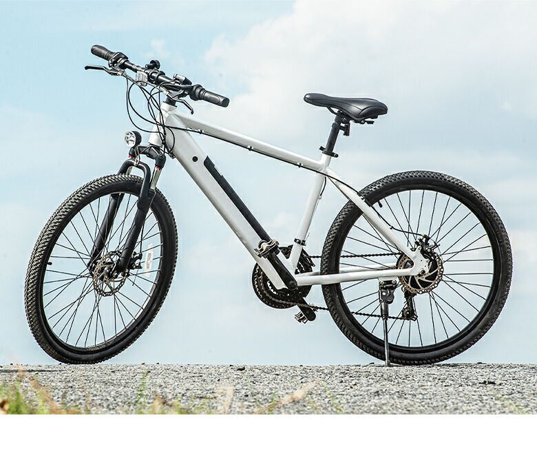 SWIFTHORSE用交換バッテリー 電動アシスト マウンテンバイク スウィフトホース 馬 自転車 ハイブリット スポーツサイクル RoHS オフロード BRIGHTFACE_UK