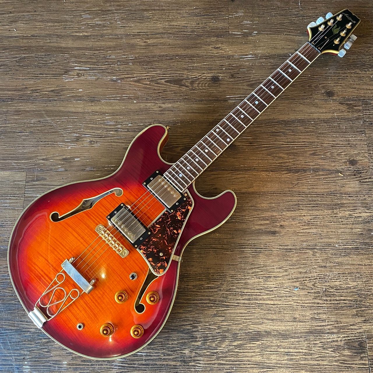 Aria Pro II TA-II Electric Guitar アリア セミアコ エレキ