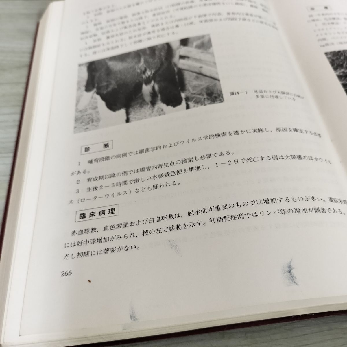 牛の臨床 主要症状を基礎にした 監修 其田三夫 昭和53年 1978年