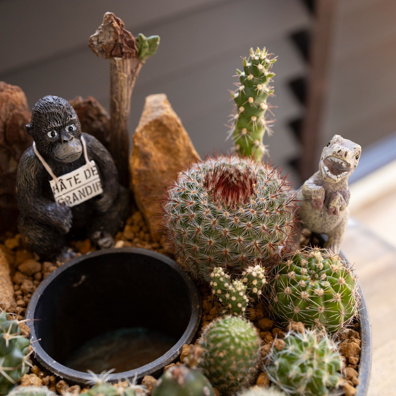 サボテン リース 寄せ植え 箱庭 多肉植物 ミニ 観葉植物