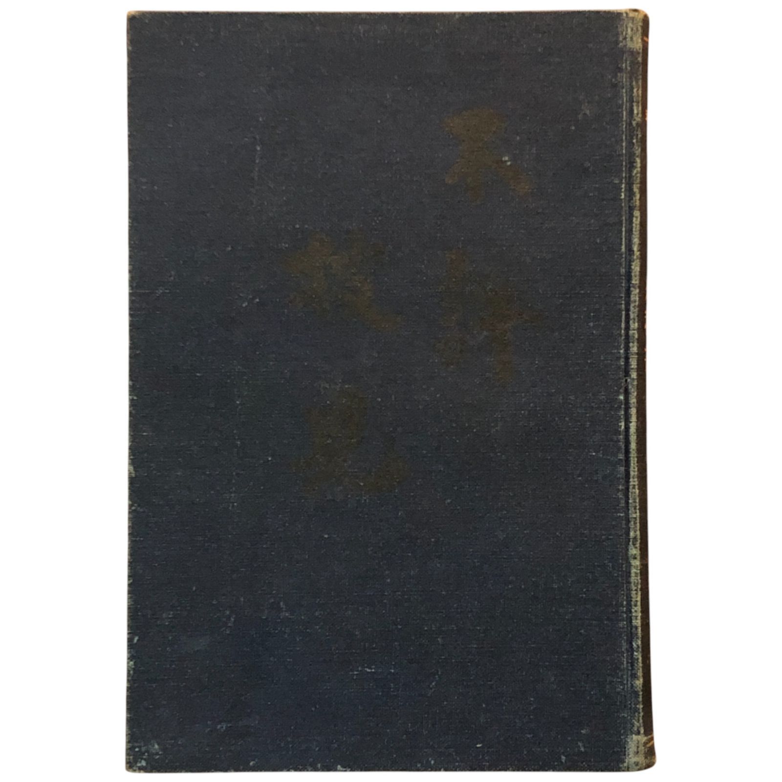 佛式唯心術治療秘書 福田信太郎 佛式唯心学本部 大正五年五月一日發行 岡田式呼吸静坐法 催眠術 心霊術 戦前 東洋医学 精神療法 代替医療 治療法 秘術 民間療法 精神世界 健康法 aaB77ynm6