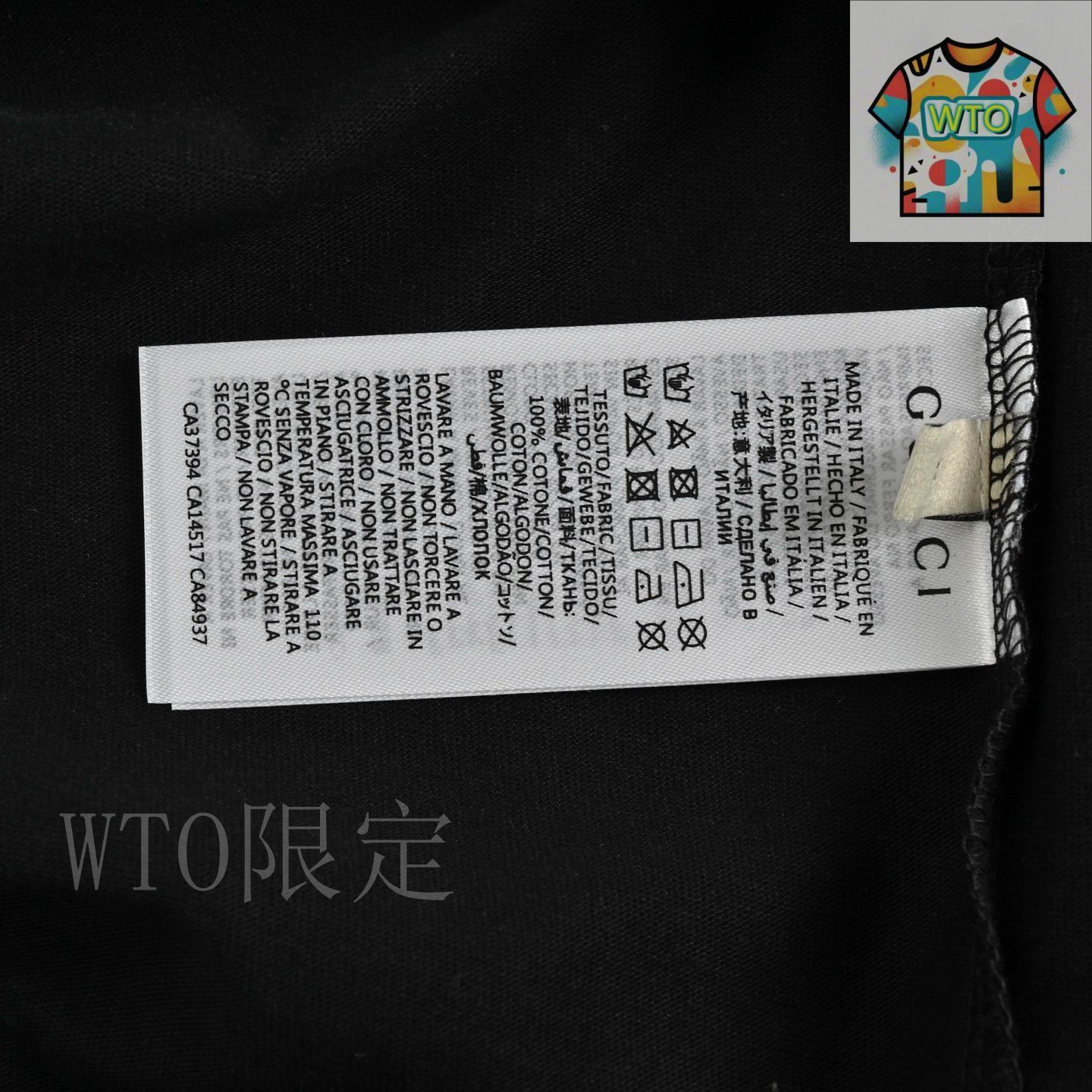 今日WTO】Gucci グッチ 25ss グラフィックシャドープリント T