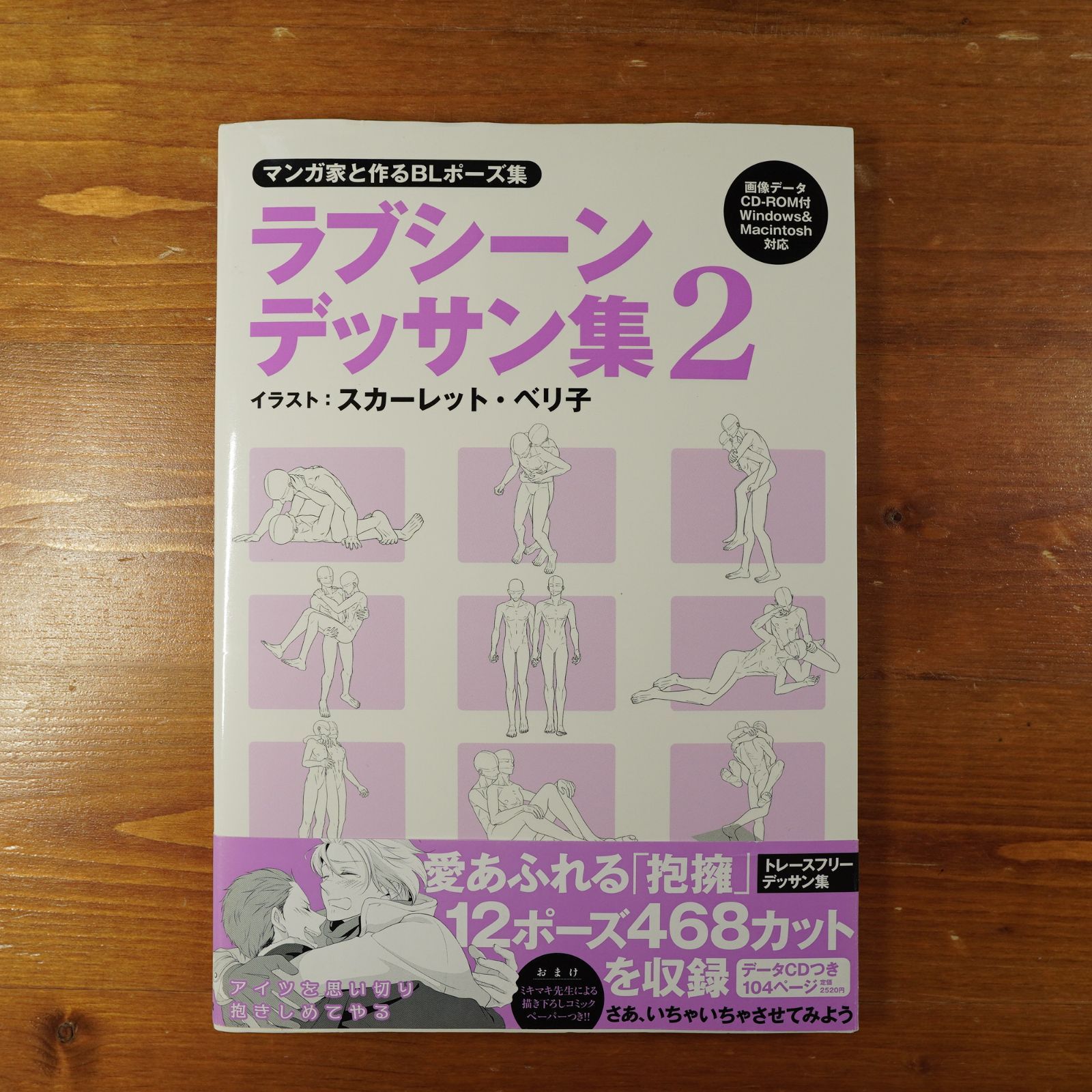 マンガ家と作るBLポーズ集 ラブシーンデッサン集 2 (データCD付) d2312