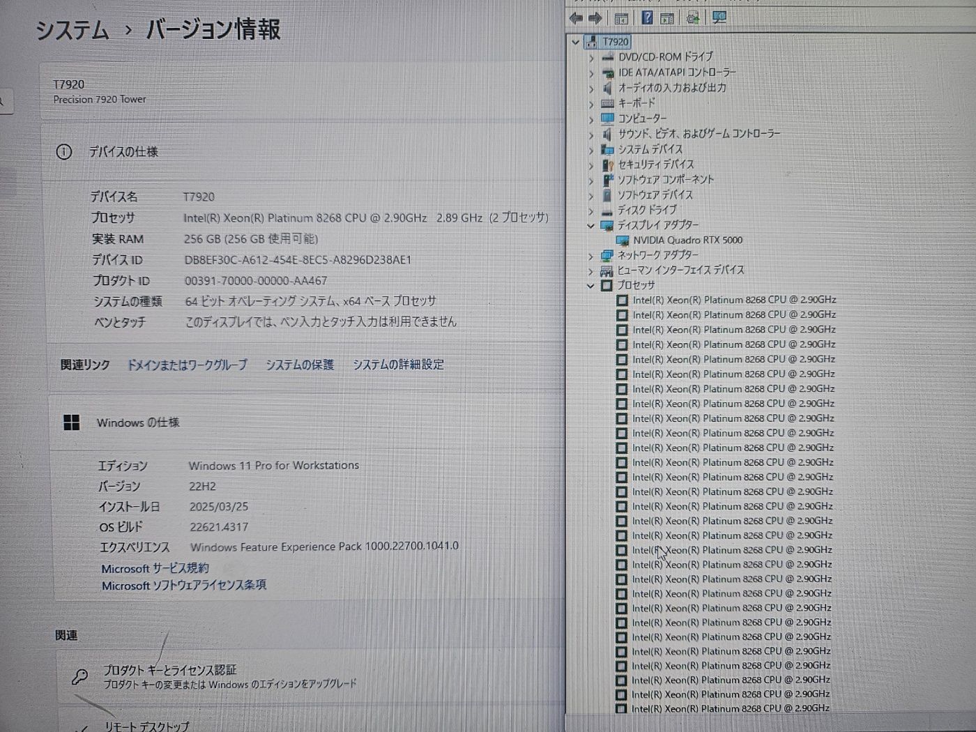 Platinum 8268