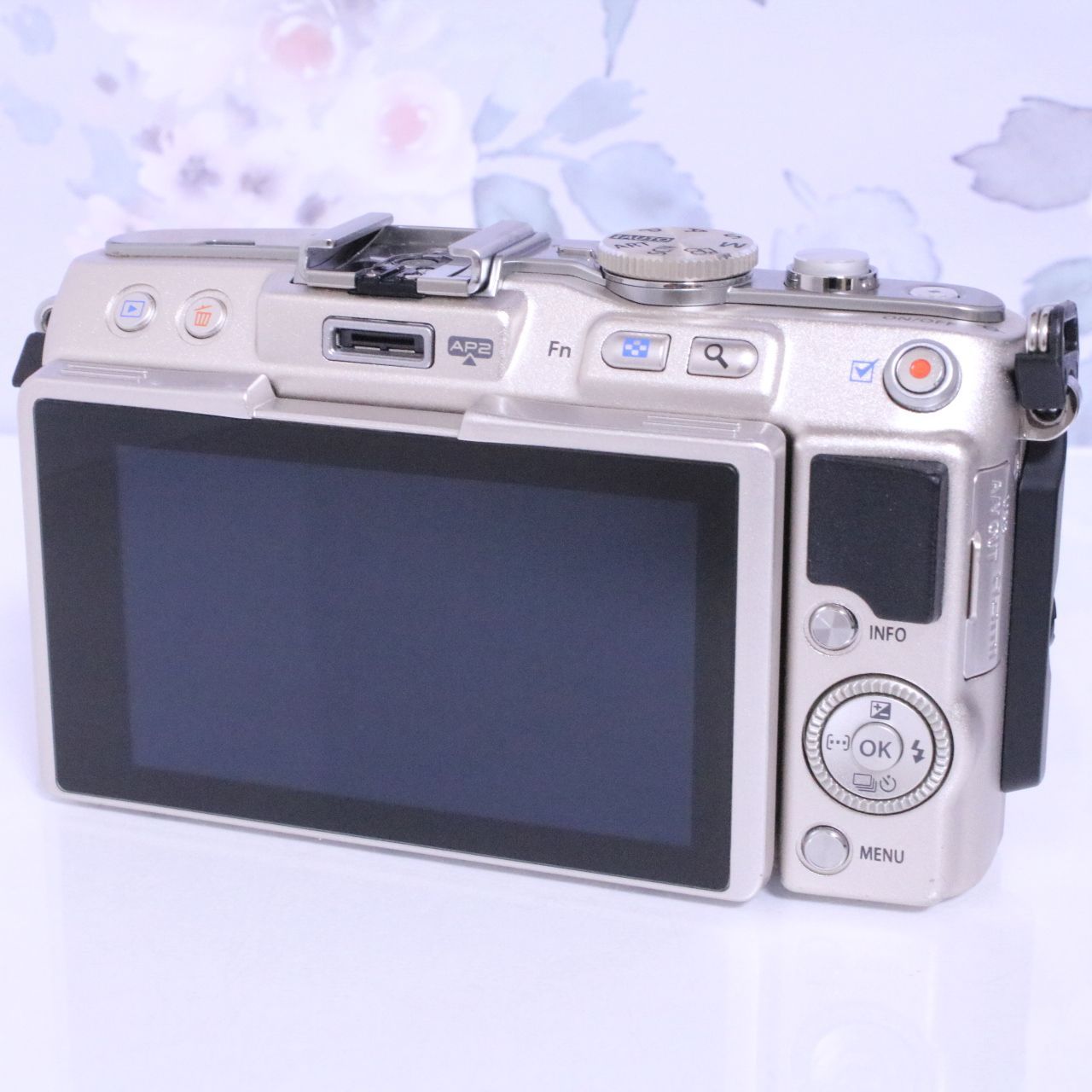OLYMPUS ミラーレス一眼 PEN Lite E-PL5 レンズキット 【公式通販】