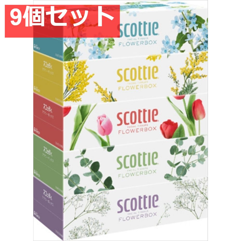 SCT ティシュー フラワーボックス 250組 5箱パック 9個セット