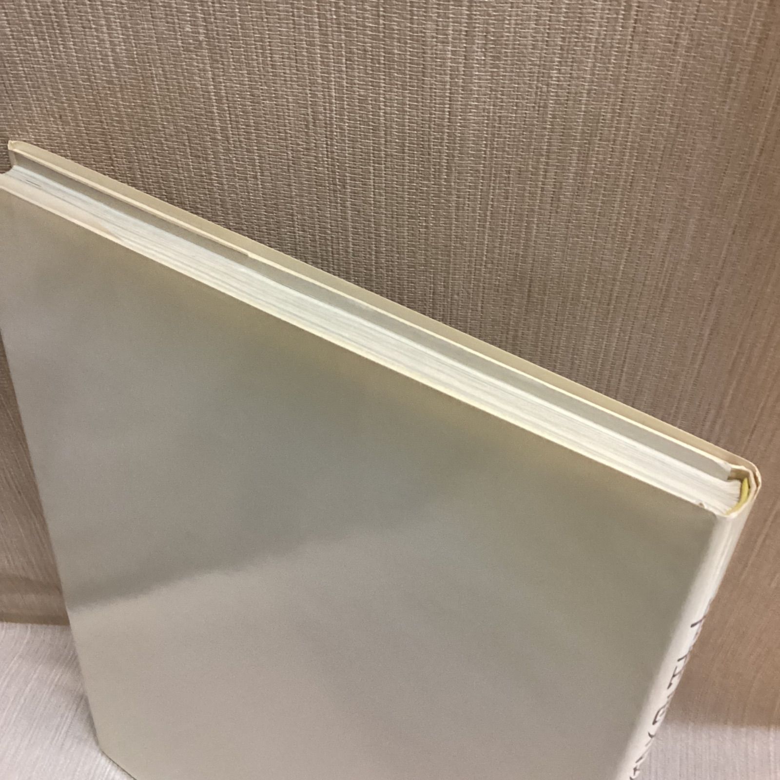 草軽電気鉄道 2'6\" gauge through white birch 草軽電気鉄道 2'6