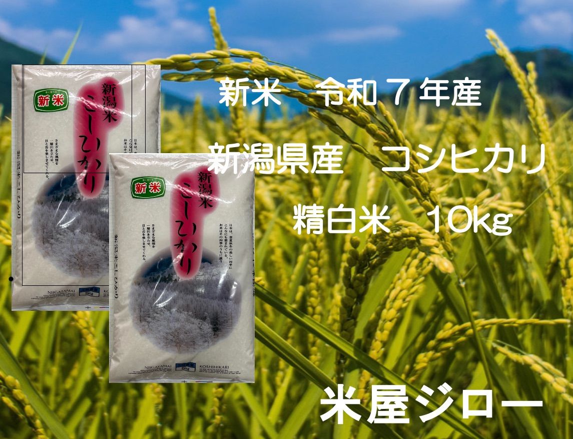 【令和7年産】【一等米】新潟県産従来品種コシヒカリ精米(白米)10kg B⑨ 新米 良い 令和7年産 新潟県産コシヒカリ精米10kg ( 5kg×2) 新米