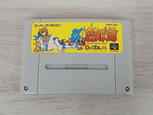 【動作確認済・箱説なし】負けるな!魔剣道