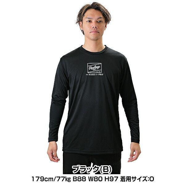 日大山形 Mizuno ポロシャツ 2XO 日大山形 ポロシャツ Lサイズ Mizuno