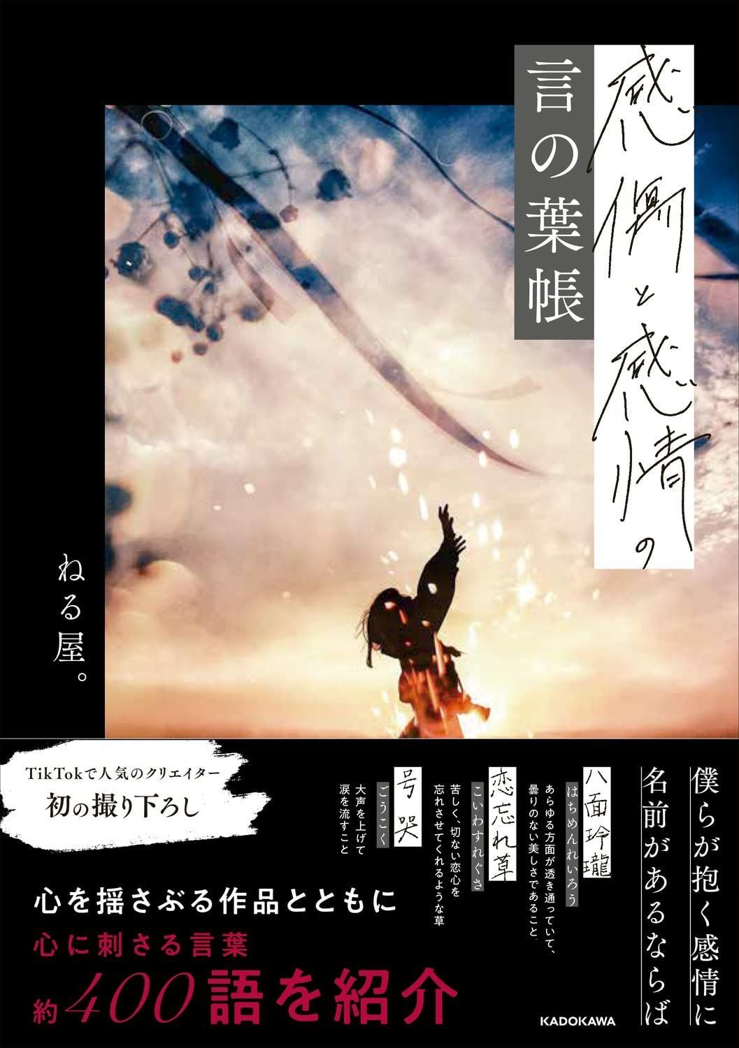 感傷と感情の言の葉帳