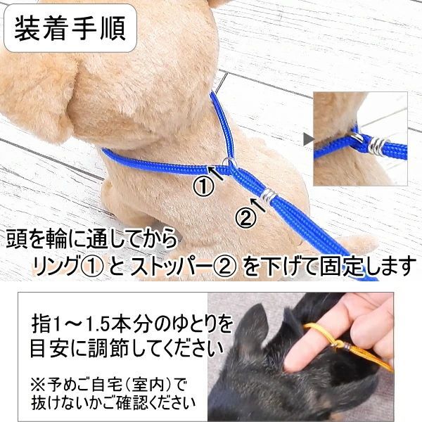 犬 首輪 リード スキップドッグ プチインリード 小型犬 一体型