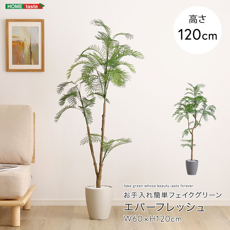 お手入れ簡単フェイクグリーン エバーフレッシュ Sサイズ 2801