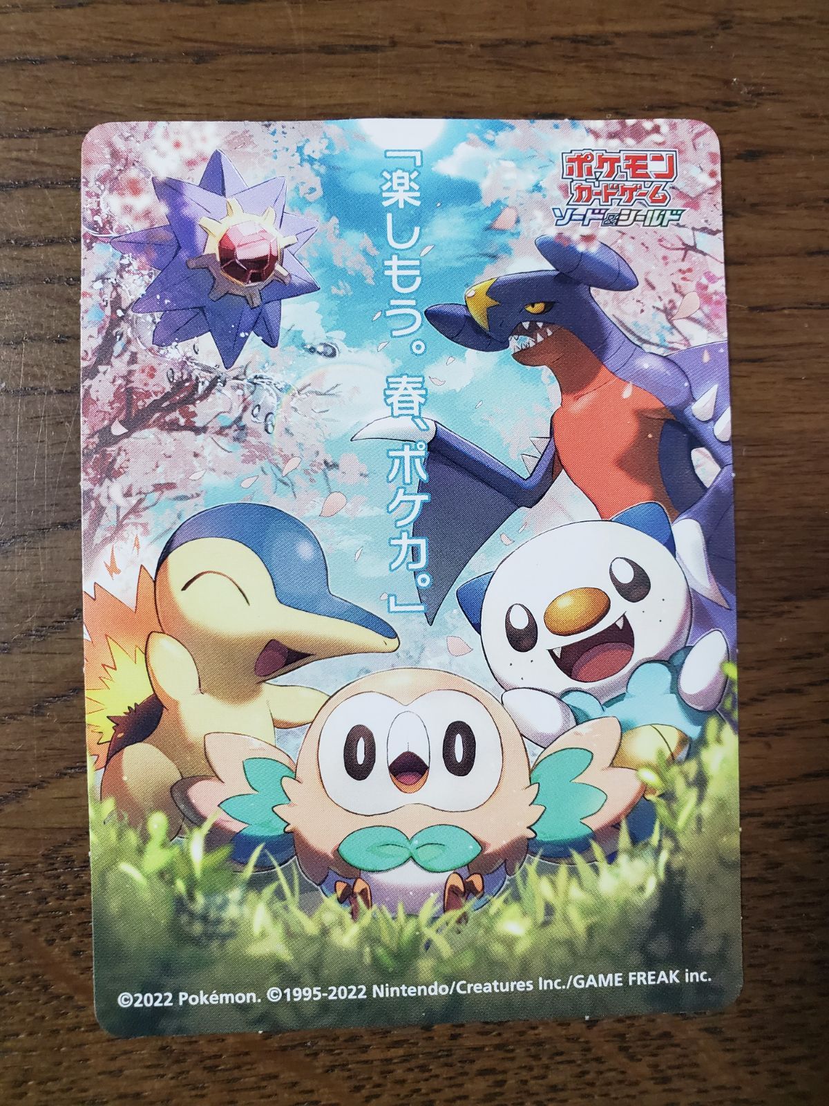 ポケモン 映画 フライヤー チラシ 6枚 - メルカリ