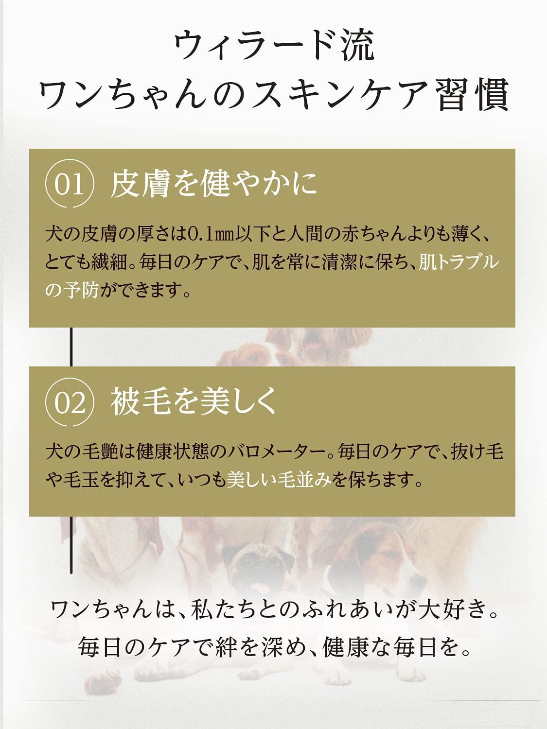 ドライシャンプー