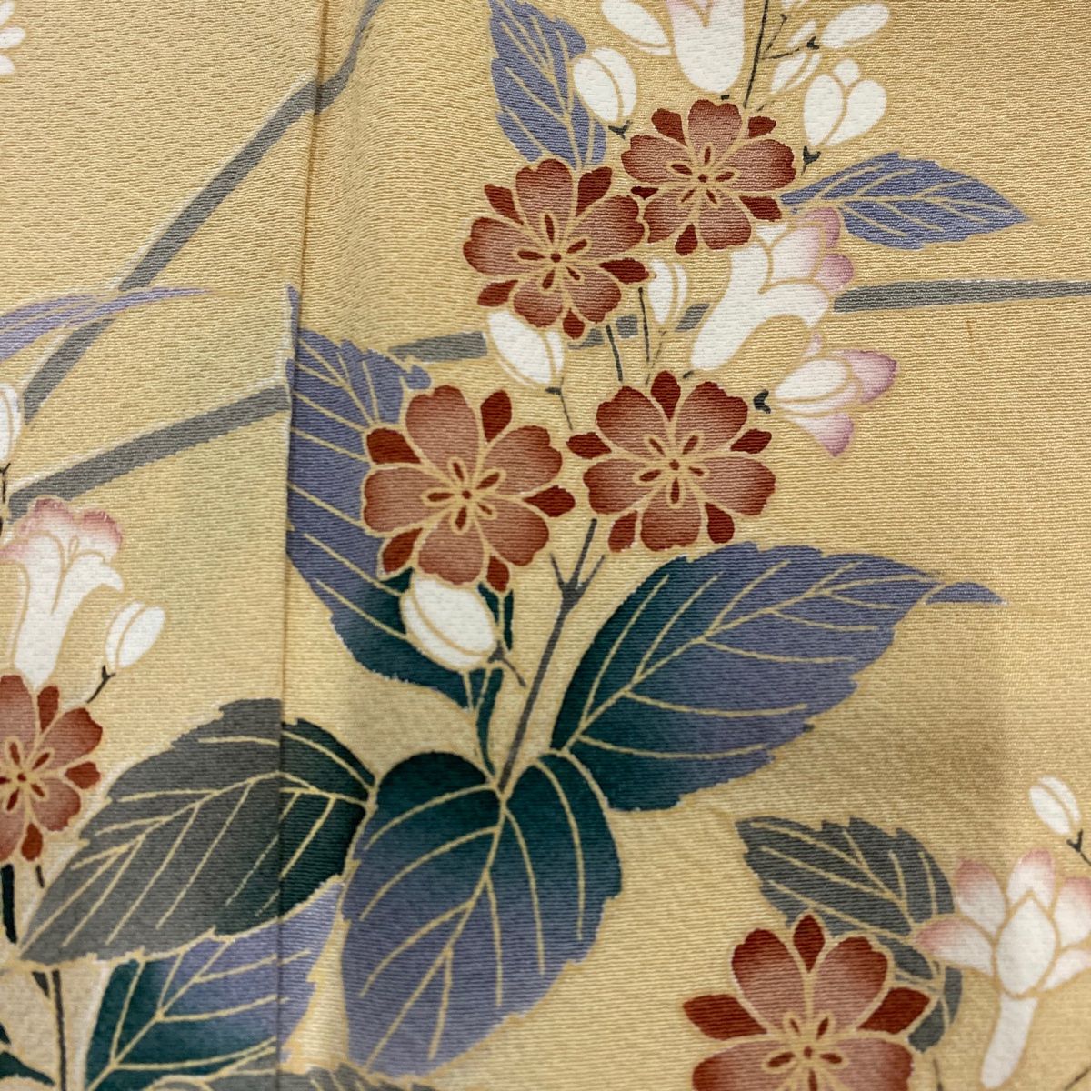 袷 草花