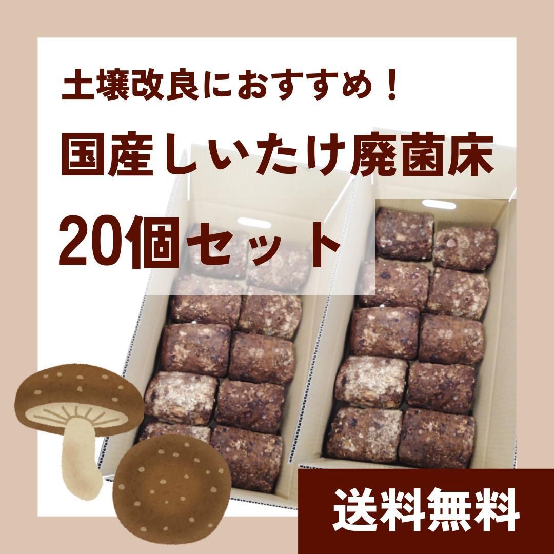 キノコ廃菌床ブロック - 虫類用品