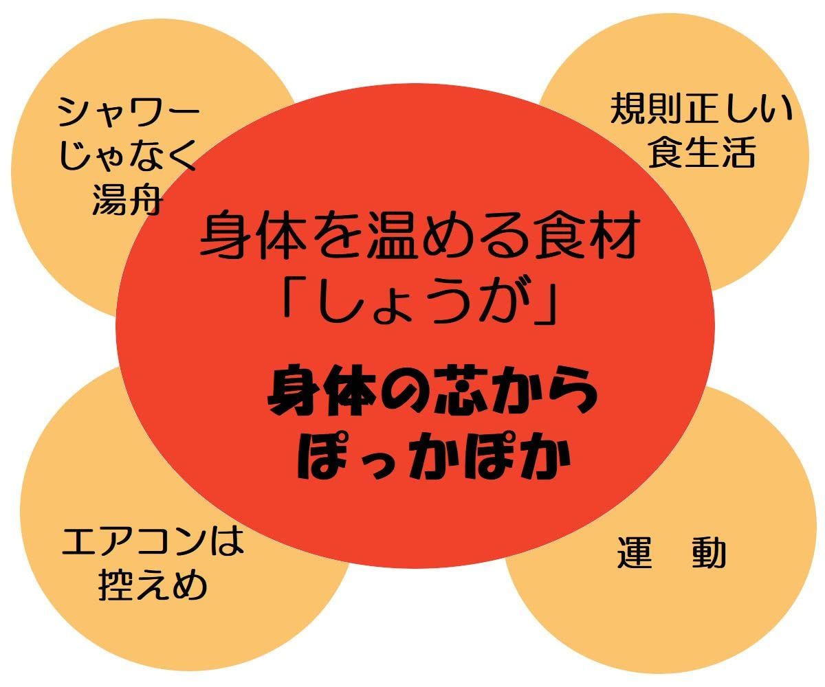 九州産 まるごと しょうがパウダー 粉末 生姜 生姜粉 乾燥 ショウガ ジンジャー 60g (１袋) [１袋]