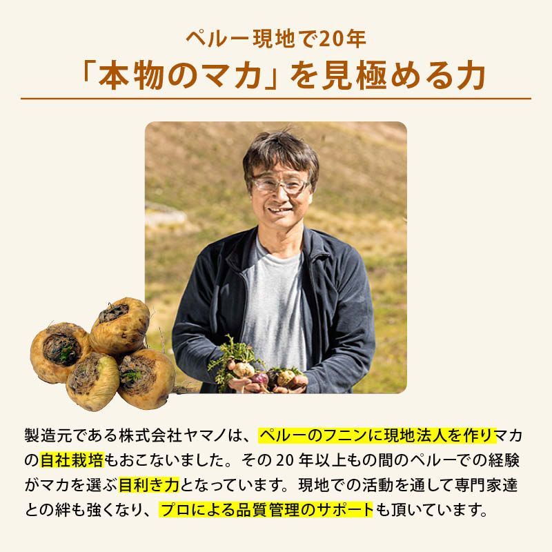 前田家 純度100％