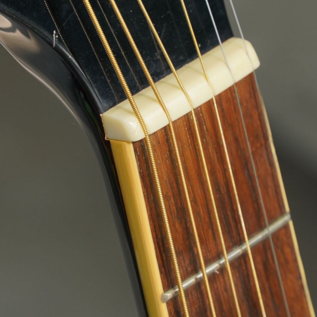 希少ブラックカラー】Takamine T-F1/BK タカミネ アコースティック