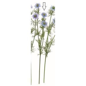 シャネルのキャンドル原産国フランスく