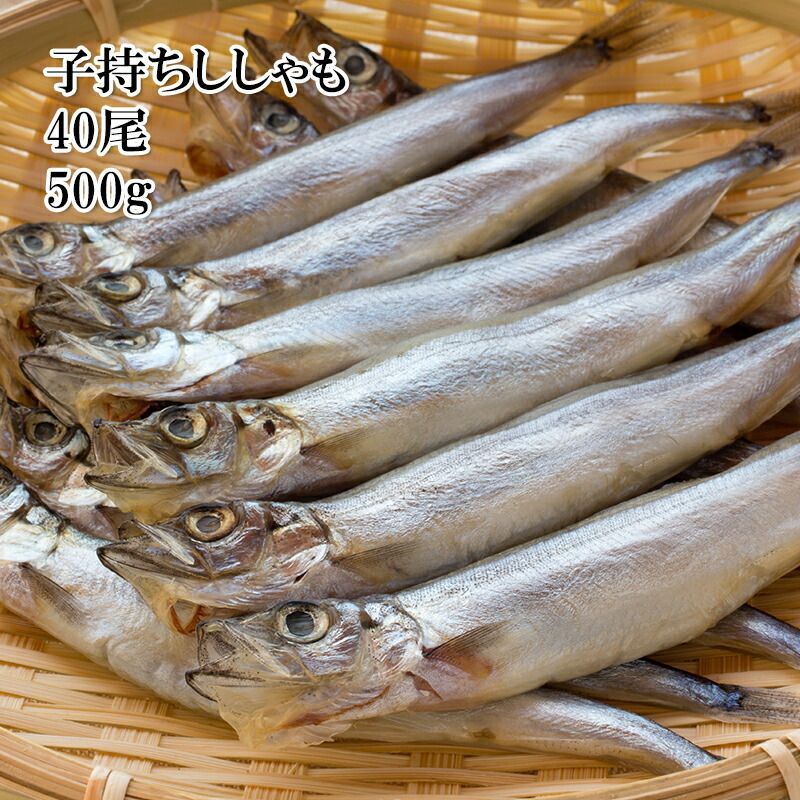 冷凍 子持ちカラフトししゃも 40尾 シシャモ おかず おつまみ 酒の肴  
