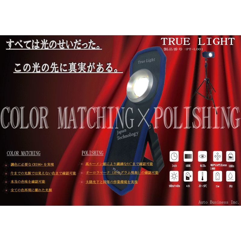 オートビジネス社 ～TRUE LIGHT [トゥルーライト]～ PT