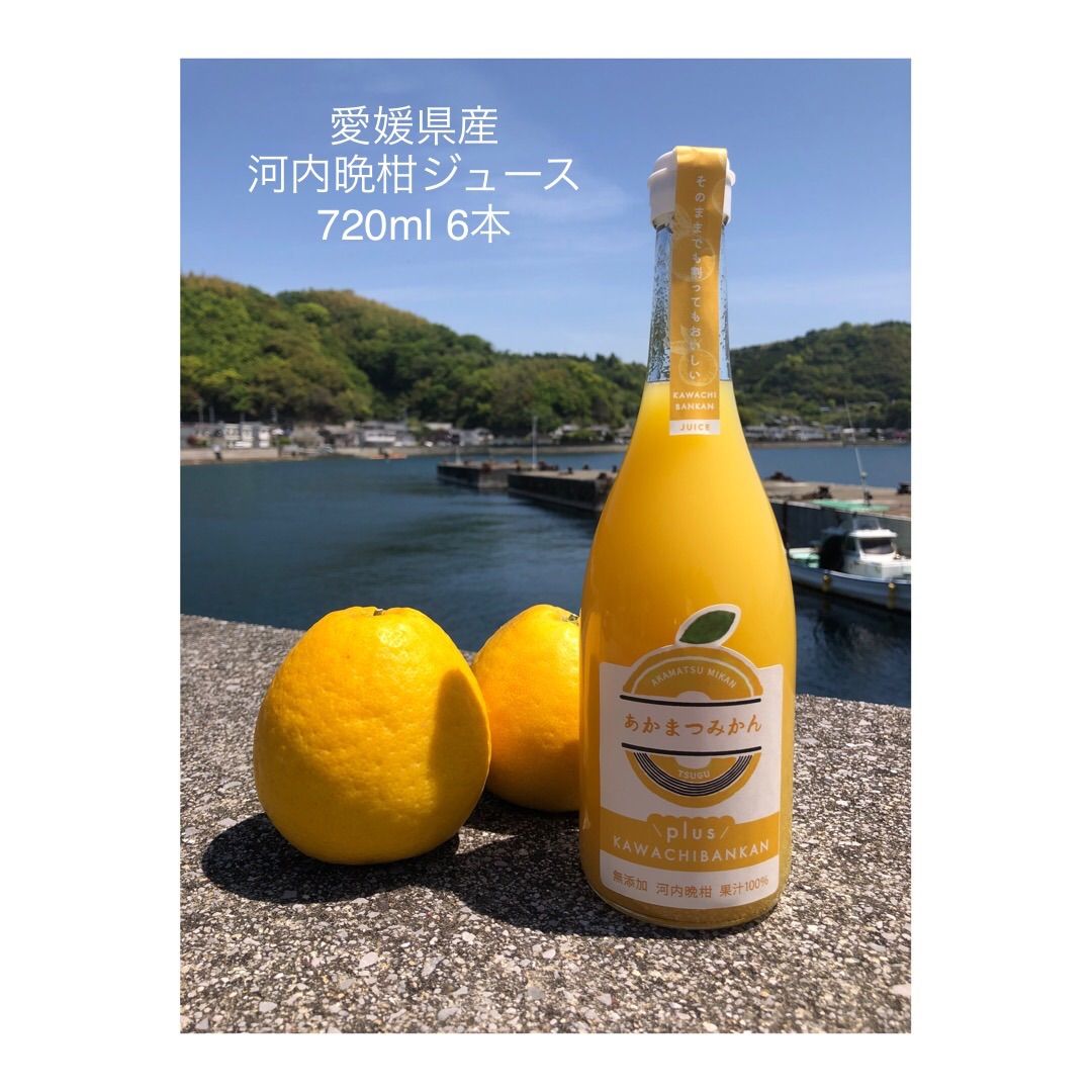 愛媛県産 レモン果汁 720ml×6本