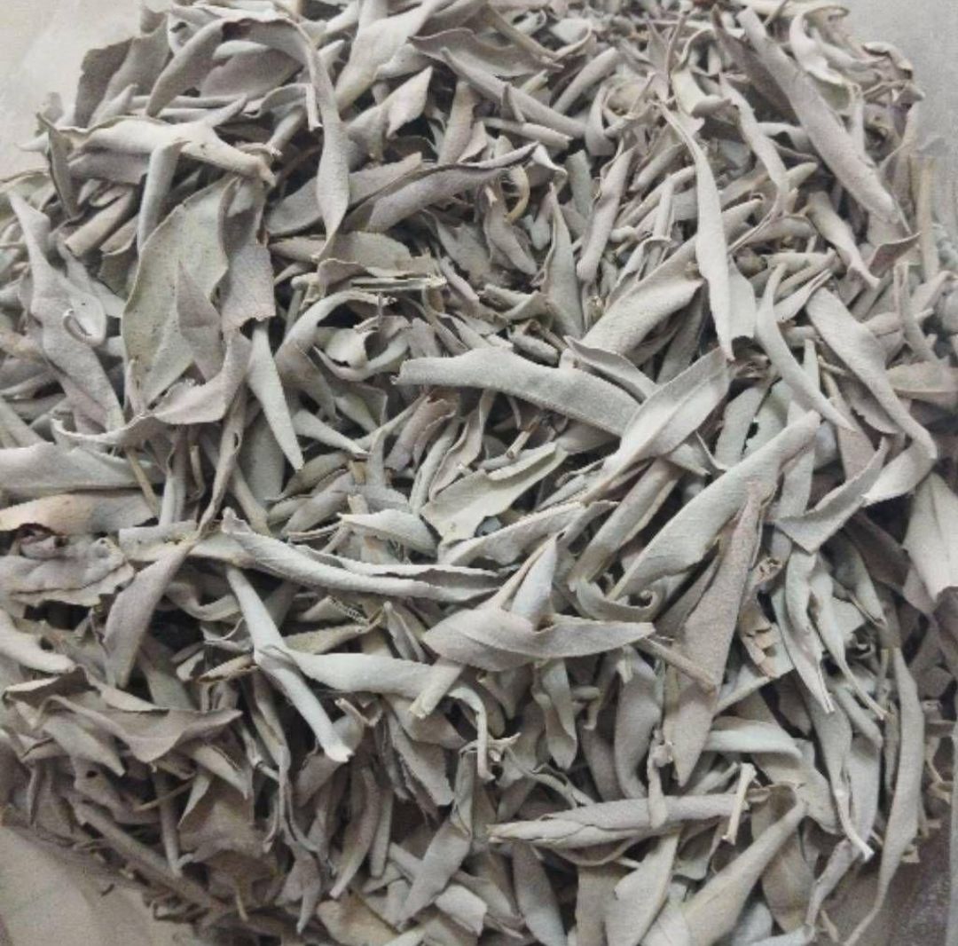 激安価格☆無農薬ホワイトセージ枝付き1kg　業務用価額ＡＡＡ 激安価格☆無農薬ホワイトセージ枝なしリーフ30g説明書付箱入お