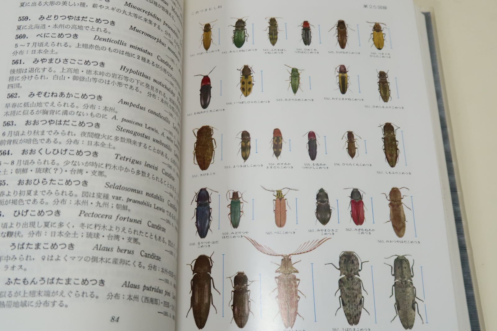 原色日本昆虫図鑑・2冊・Colored Illustrations of the Insects