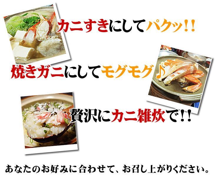 姿ズワイガニ2尾セットずわいがにカニかに蟹お歳暮